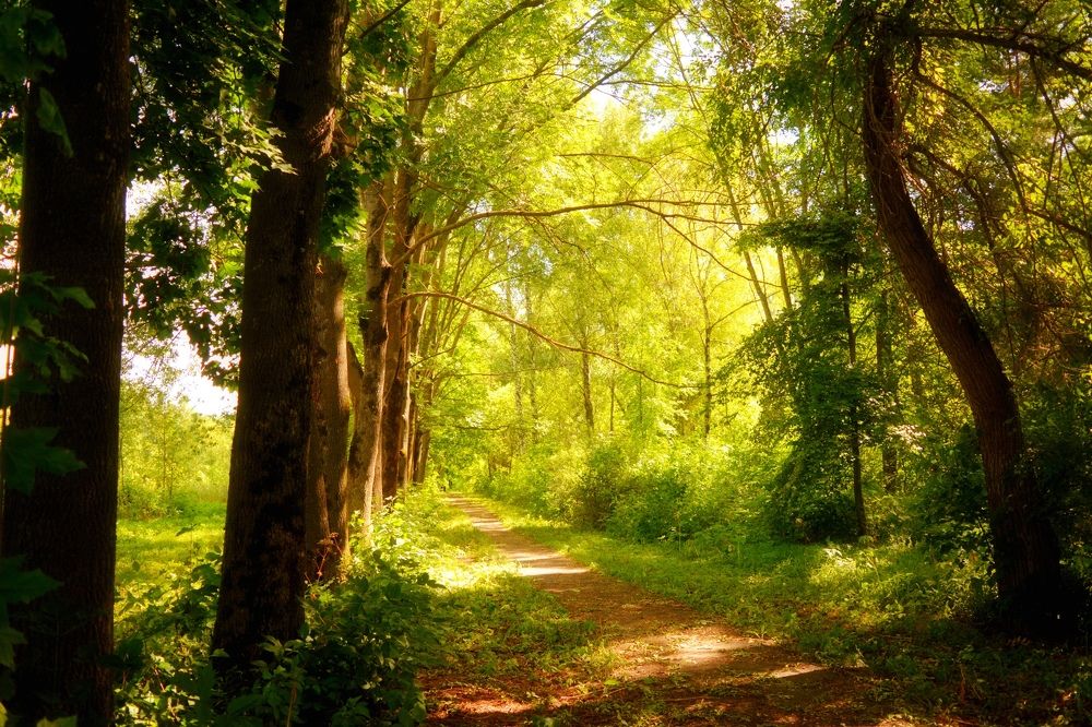 Photograph by Мария Опритова