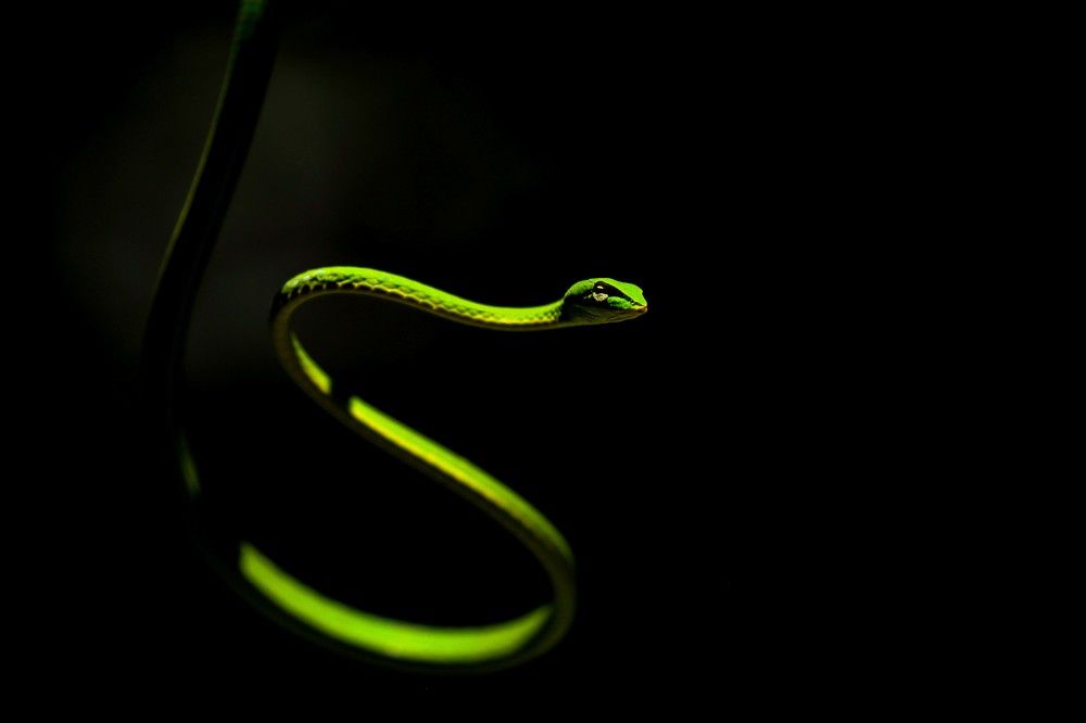 Photograph by Anish jayan