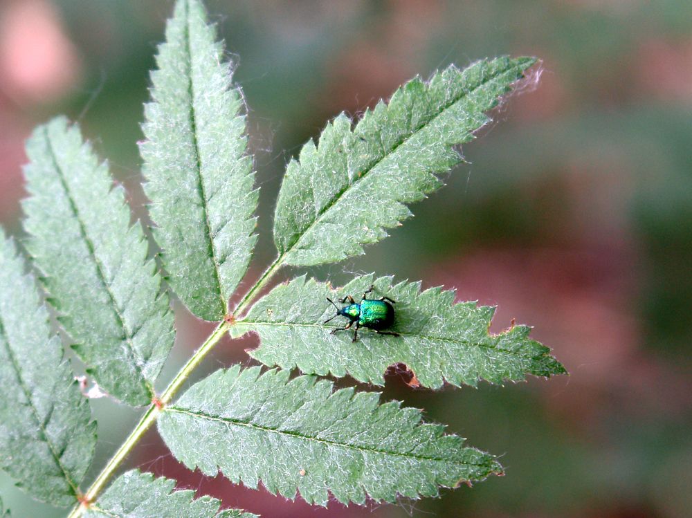 Photograph by Игорь Шевердин