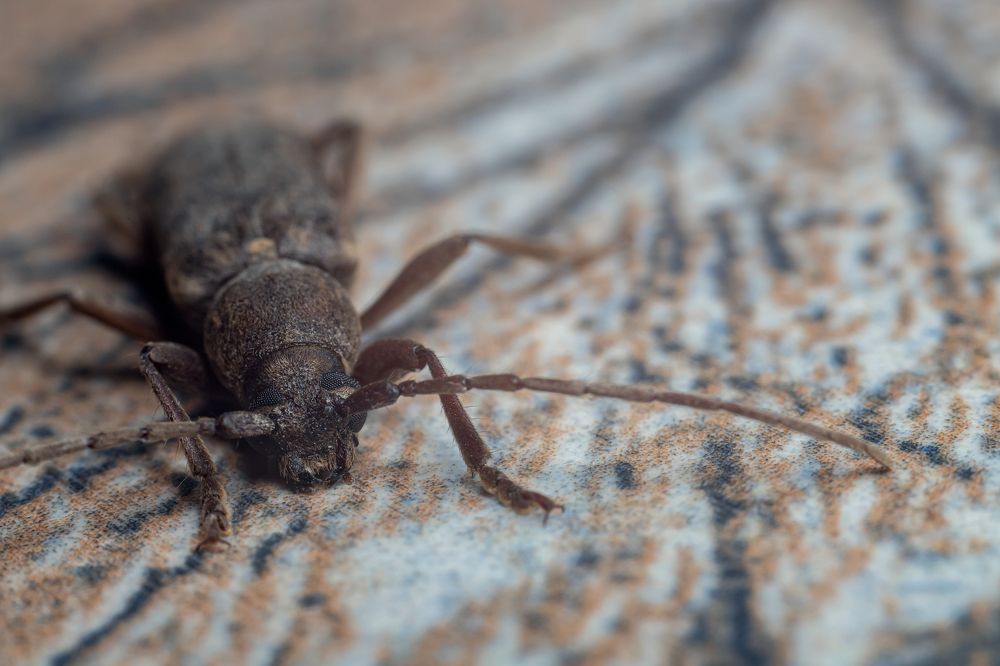 Photograph by Алексей Тимофеев