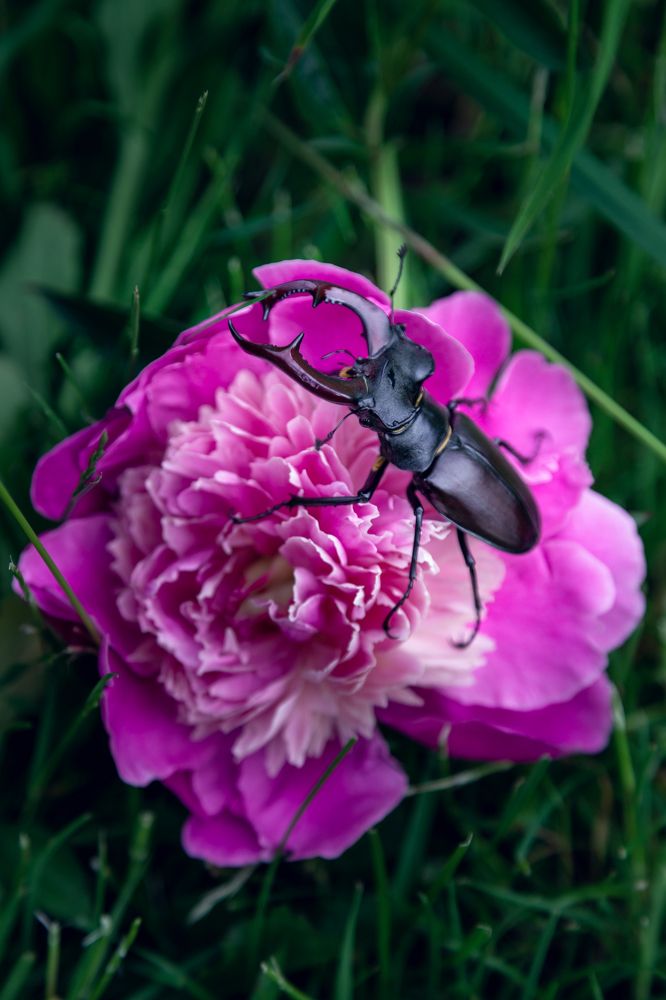 Photograph by Николай Брытков