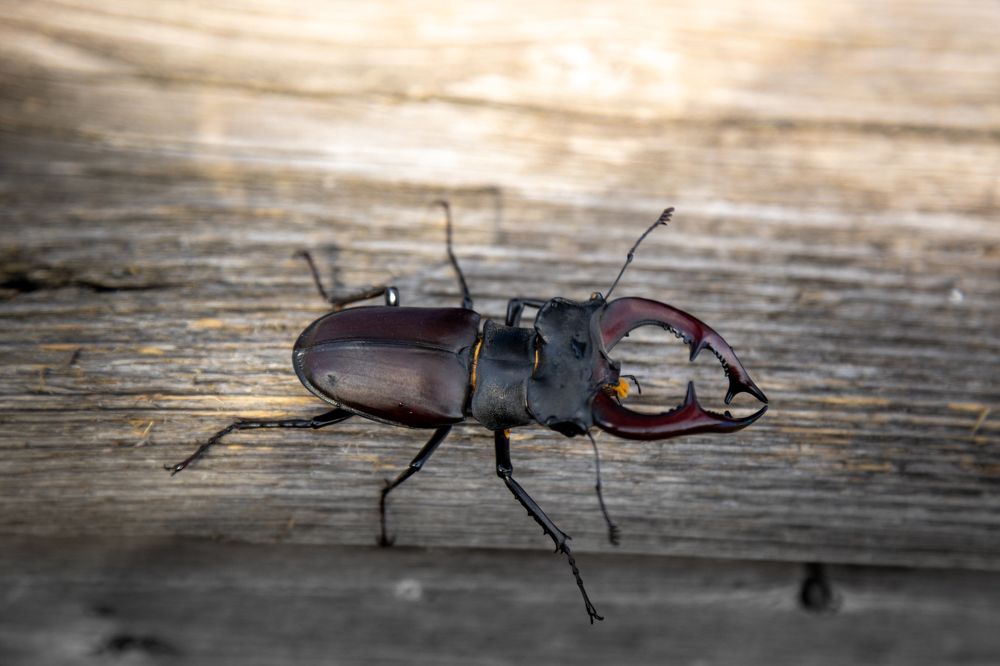 Photograph by Николай Брытков