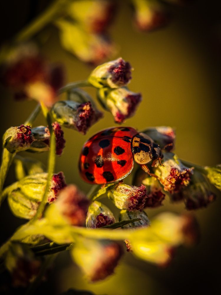 Photograph by Sergey Bichko
