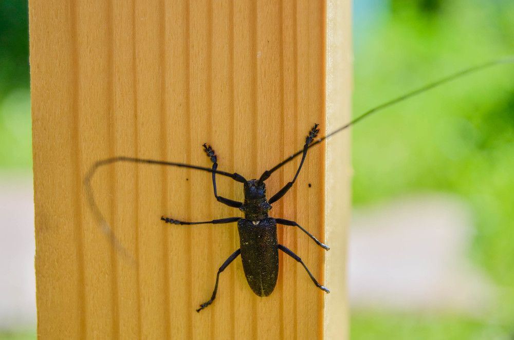 Photograph by игорь герасимовский