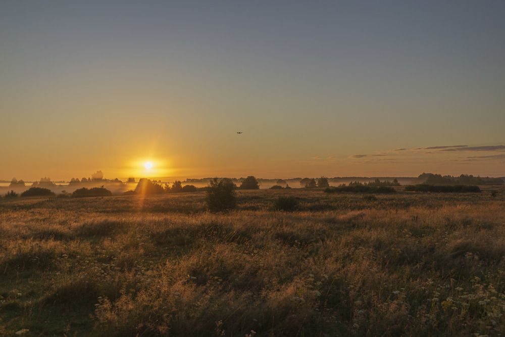 Photograph by Андрей Ныриков