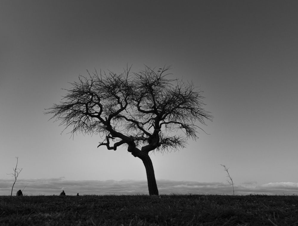 Photograph by Jose Maria Lavori