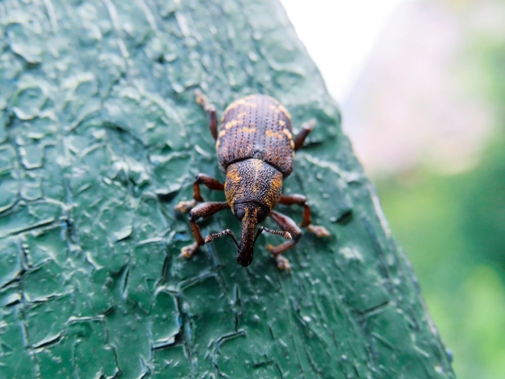 Photograph by Елена Гарипова