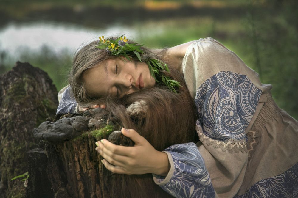 запретный лес