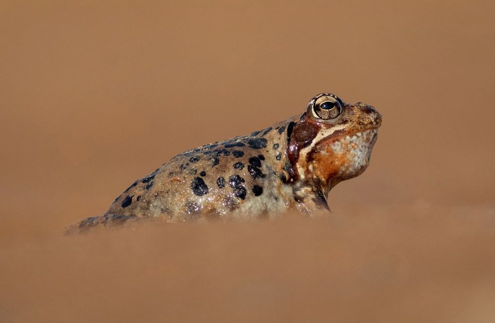 Photograph by Павел Краснослободцев