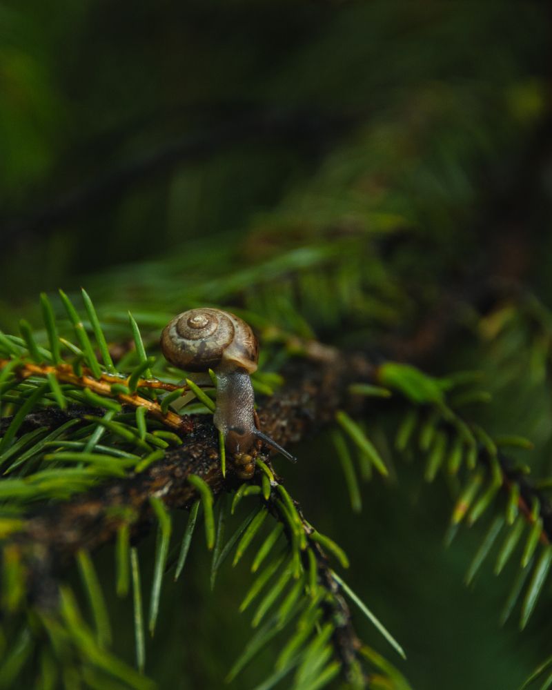 Photograph by Павел Козырев