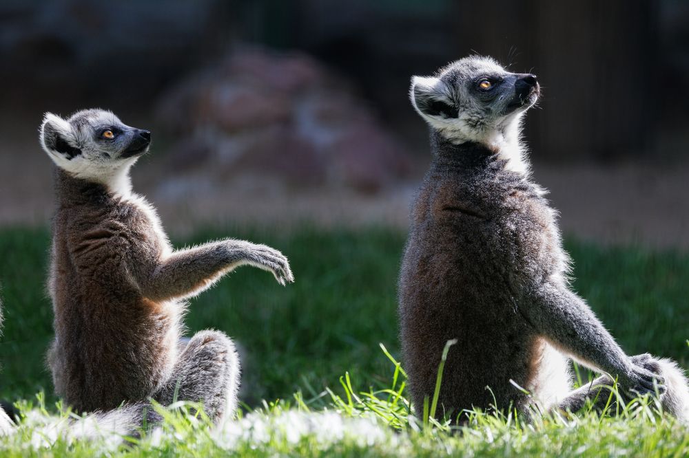 Photograph by Валентин Колинько