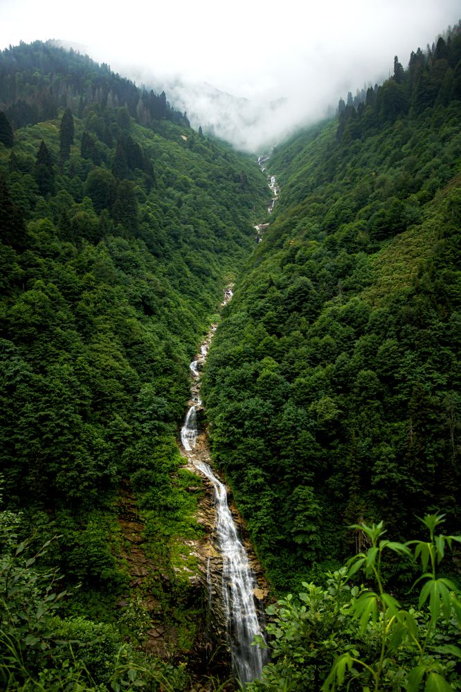 Photograph by Ali Abu Ras