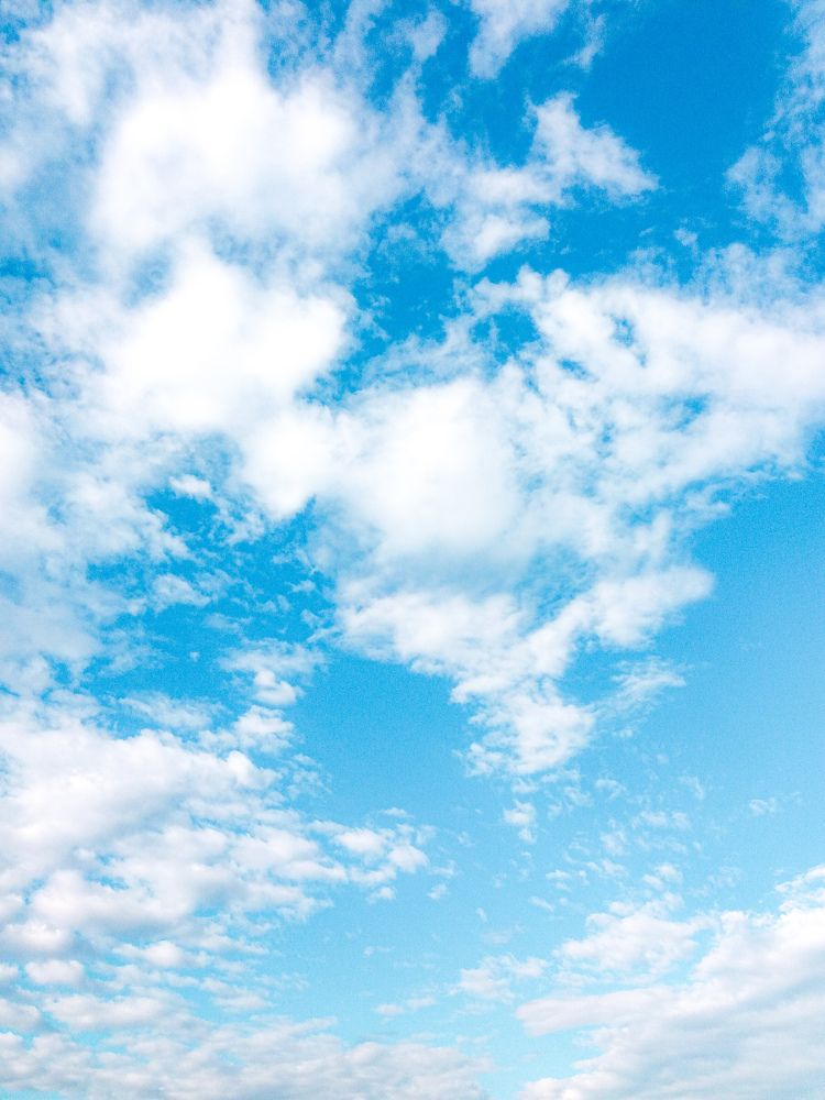 Фотография автора Оля Алехнович