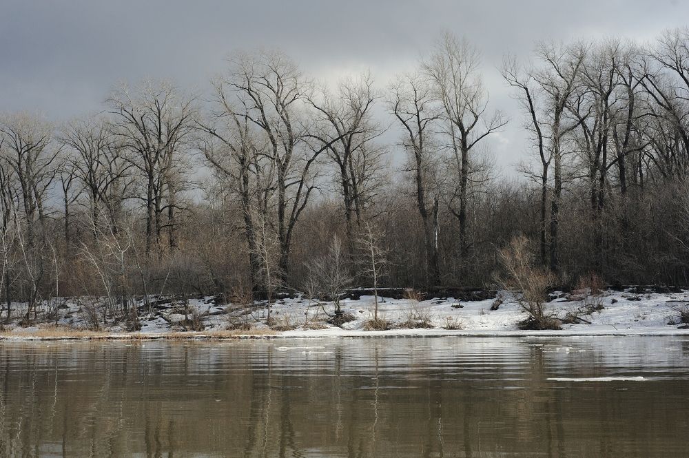 Драматические краски весенней реки