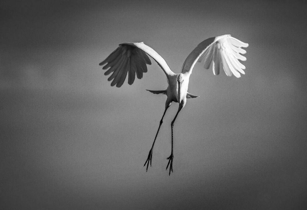 Photograph by Борис Пирог