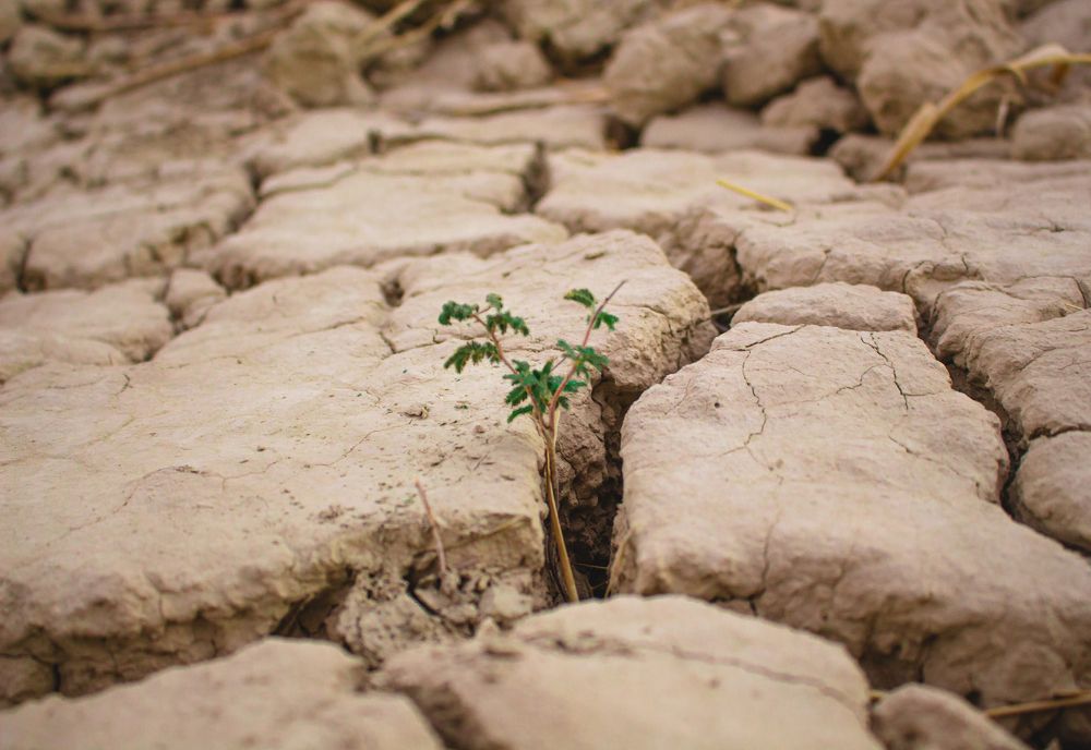 Sistan after taleban