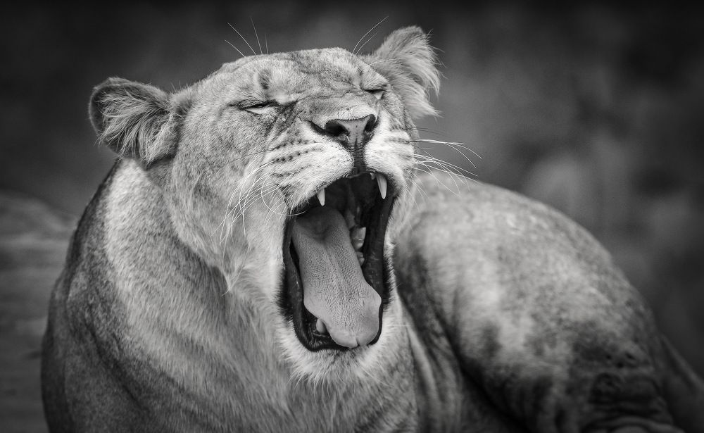 Photograph by Борис Пирог