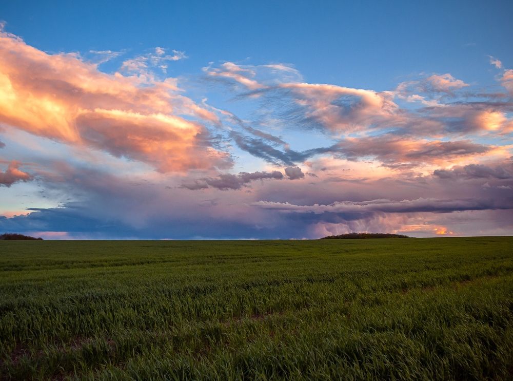 Photograph by Данила Черных