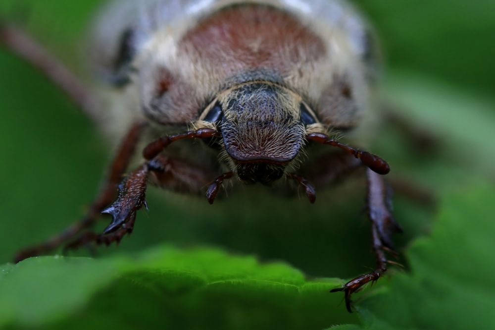 Photograph by Sergey Kudryashov