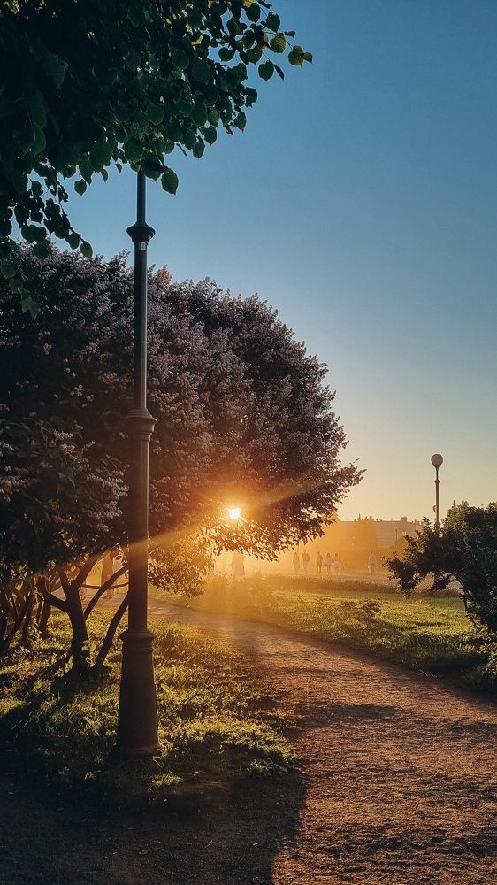 Photograph by Татьяна Стружкина