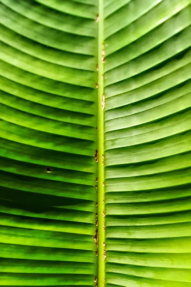 Фотография автора Marcia Araujo