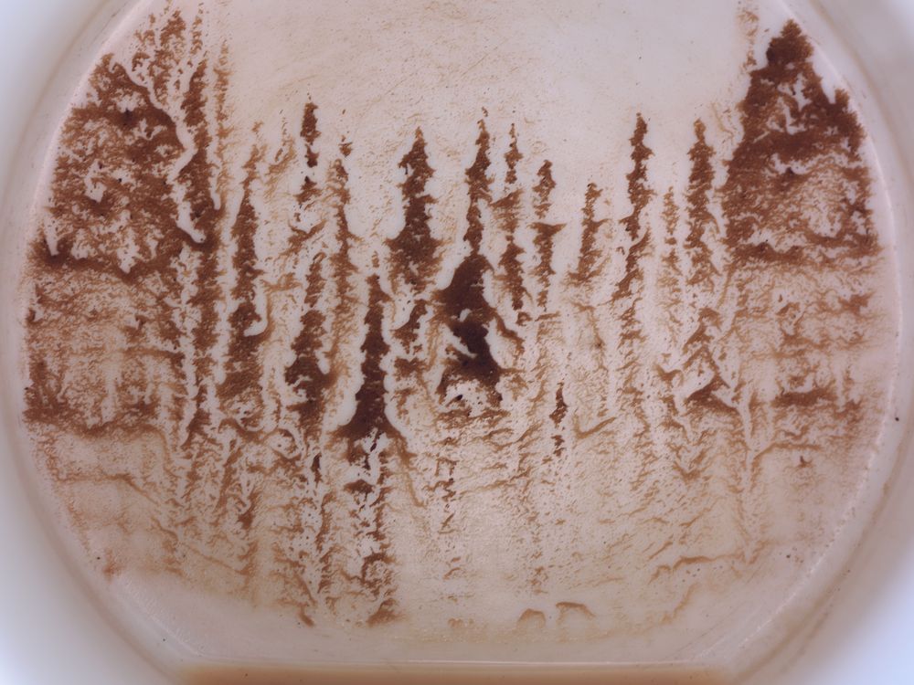 Photograph by Семен Батов