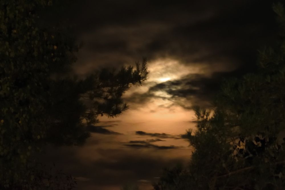 Photograph by Семен Батов