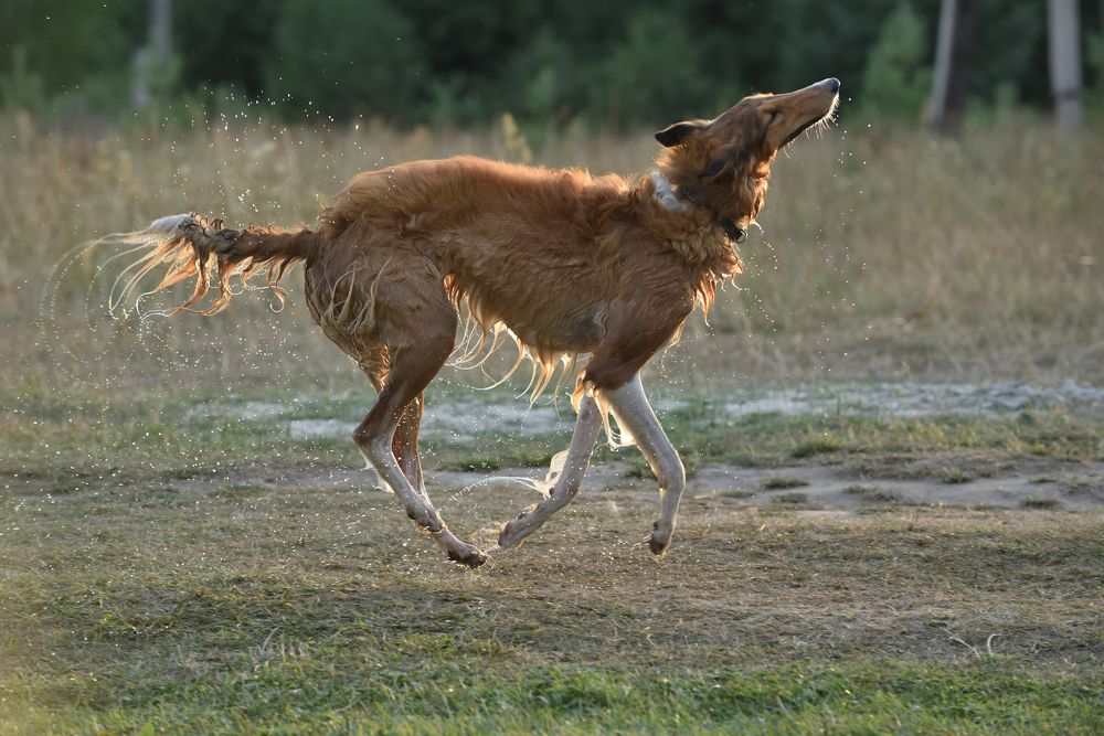 Photograph by Семен Батов