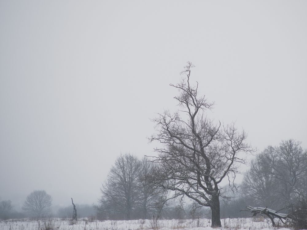 Photograph by z14photo