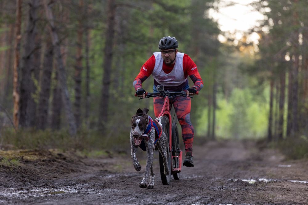 Photograph by Илья Юфа