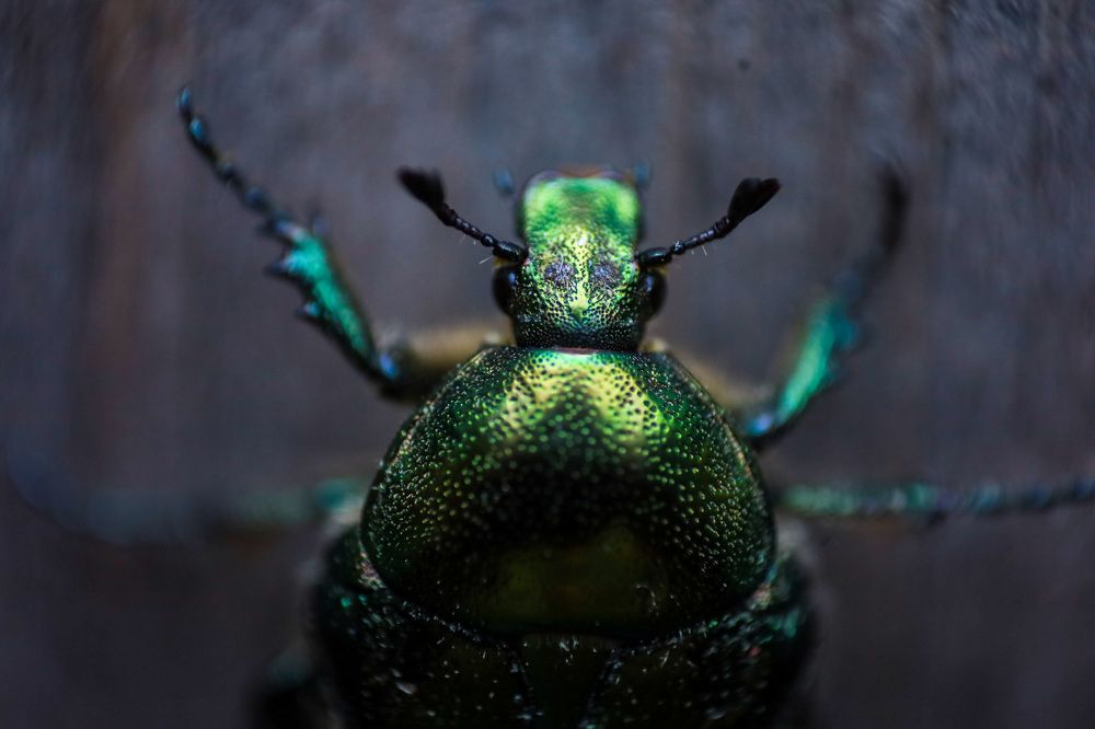 Photograph by Юлия