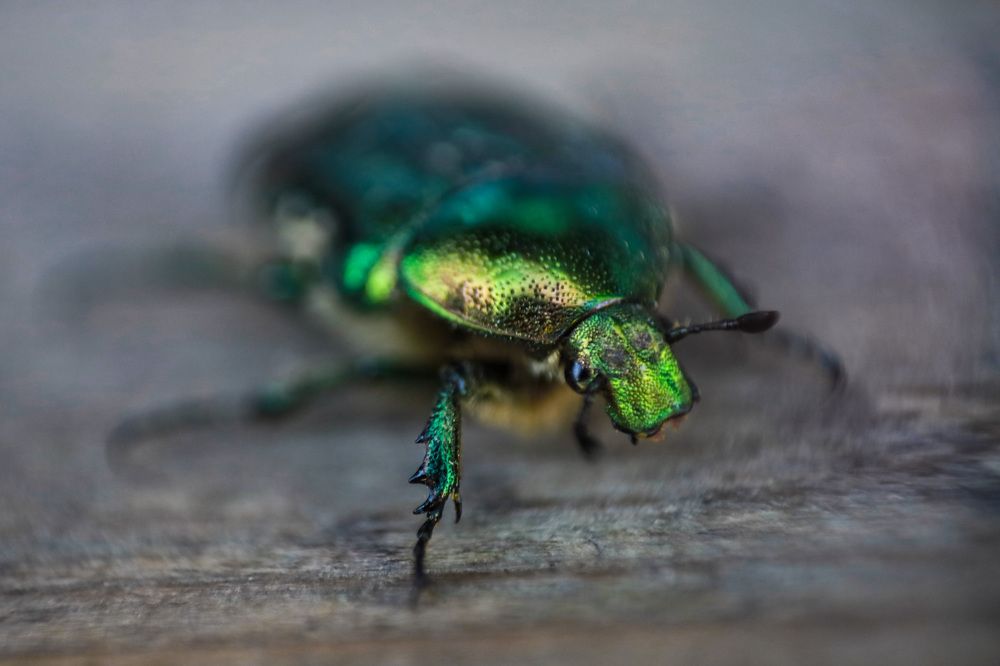 Photograph by Юлия