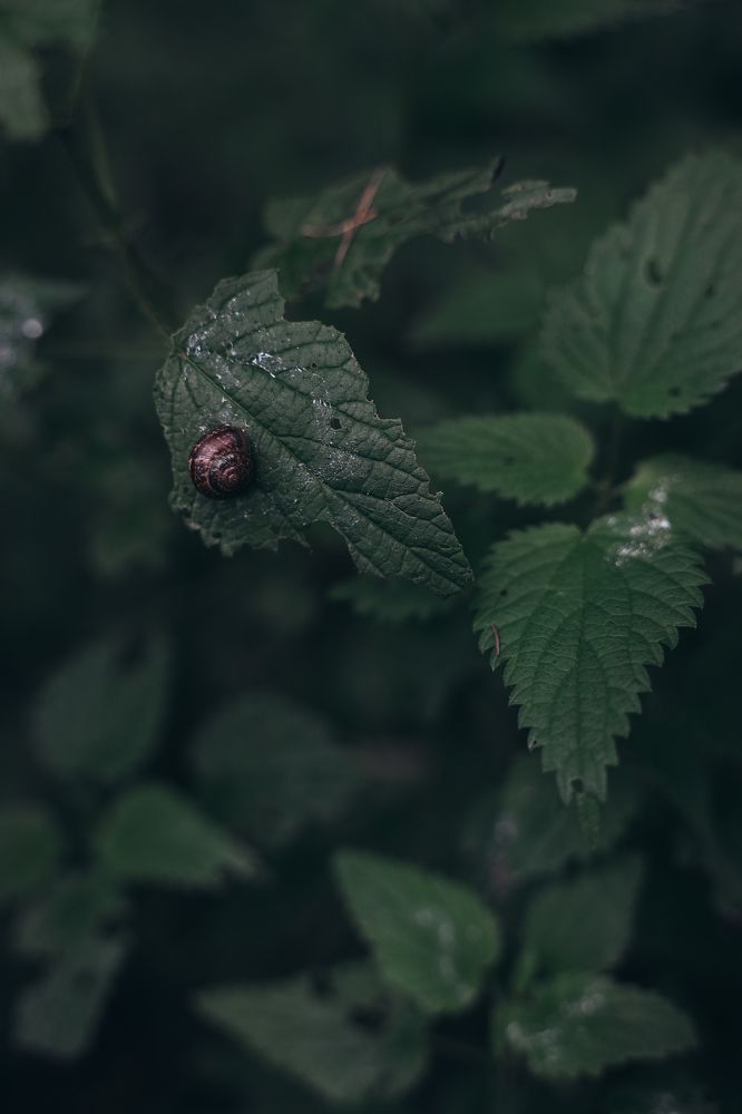 Photograph by Екатерина Кицмен