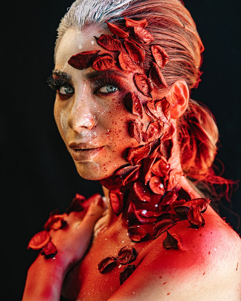 Фотография автора Ibrahim Jalal