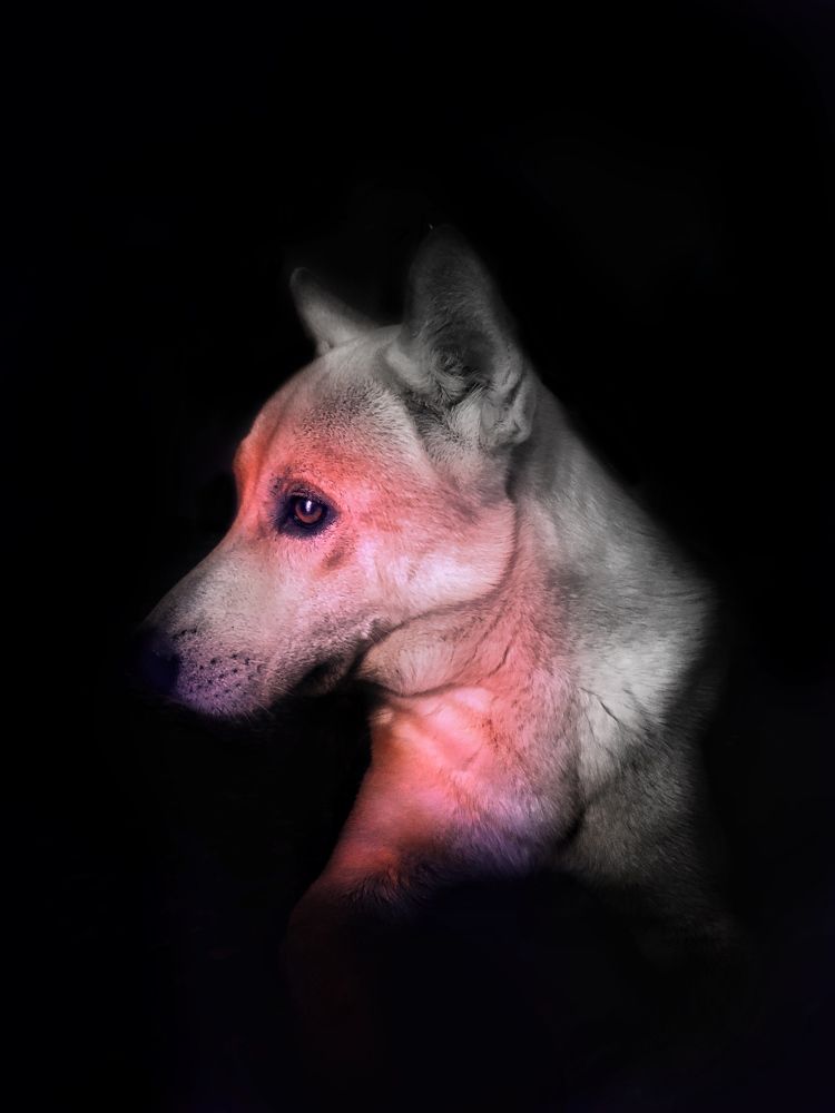 Photograph by David Garcia Valdespino