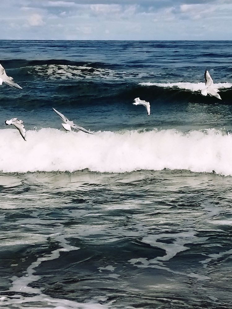 Photograph by Галина Смирнова