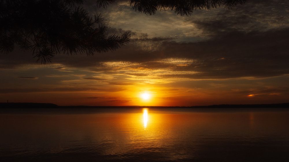 Фотография автора Дмитрий Романов