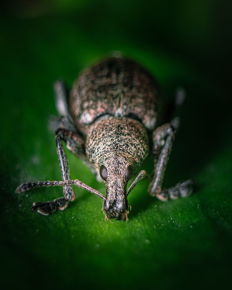 Photograph by Patryk George