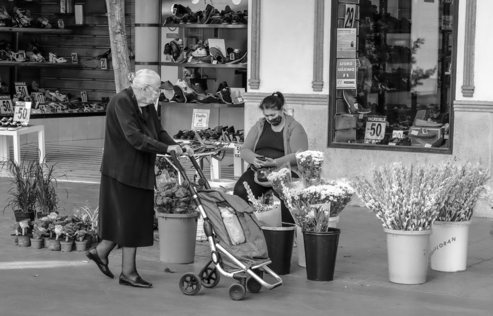 Photograph by Francisco José López Fernández