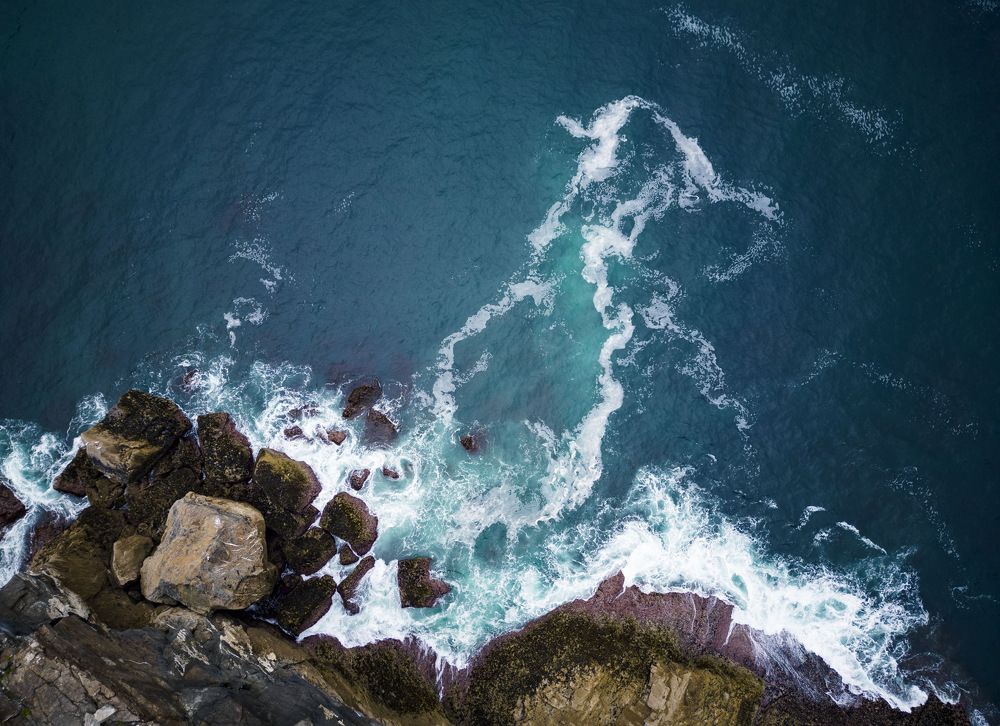 Photograph by Subhasis Paul