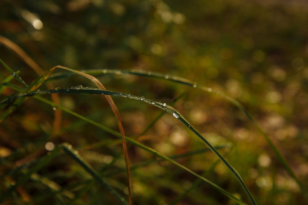 Photograph by Екатерина Максимова