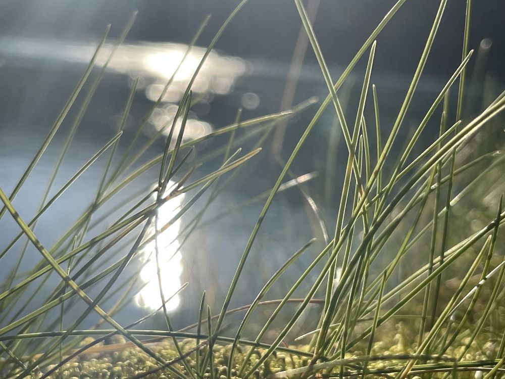 Photograph by Ольга