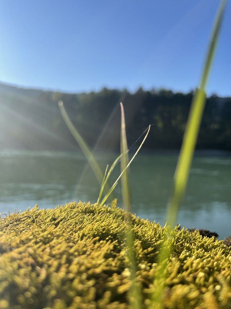 Photograph by Ольга