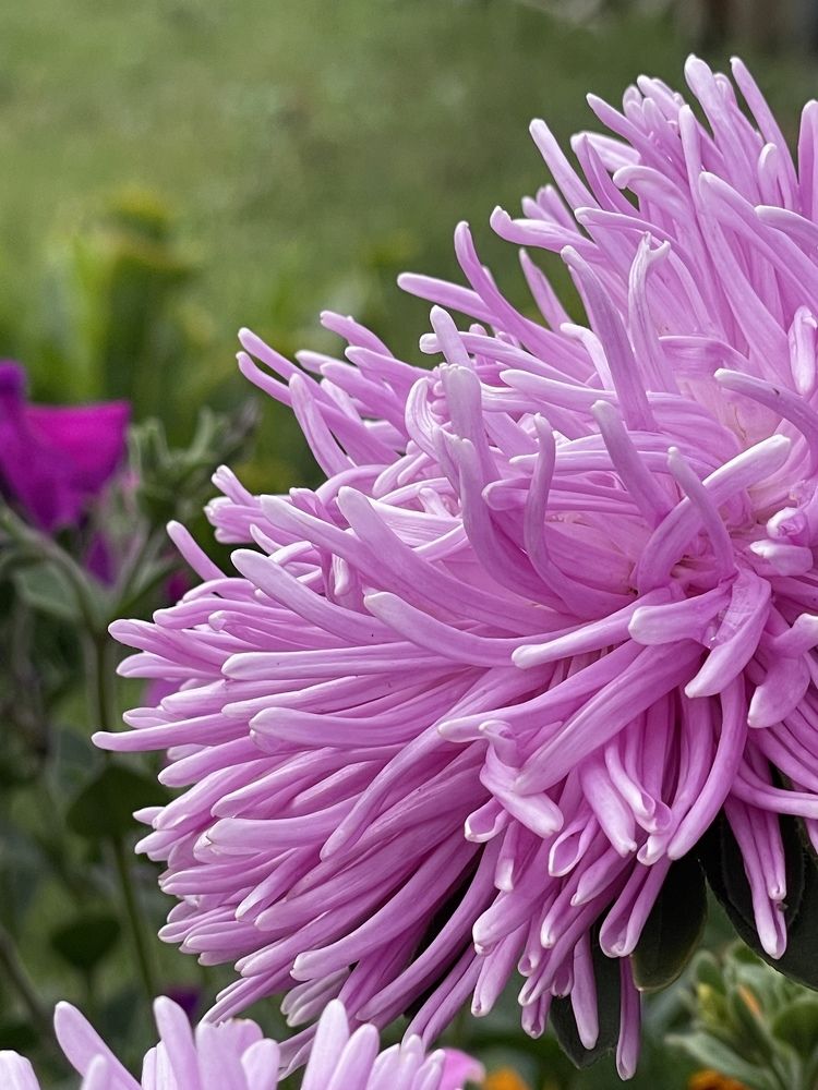 Photograph by Ольга