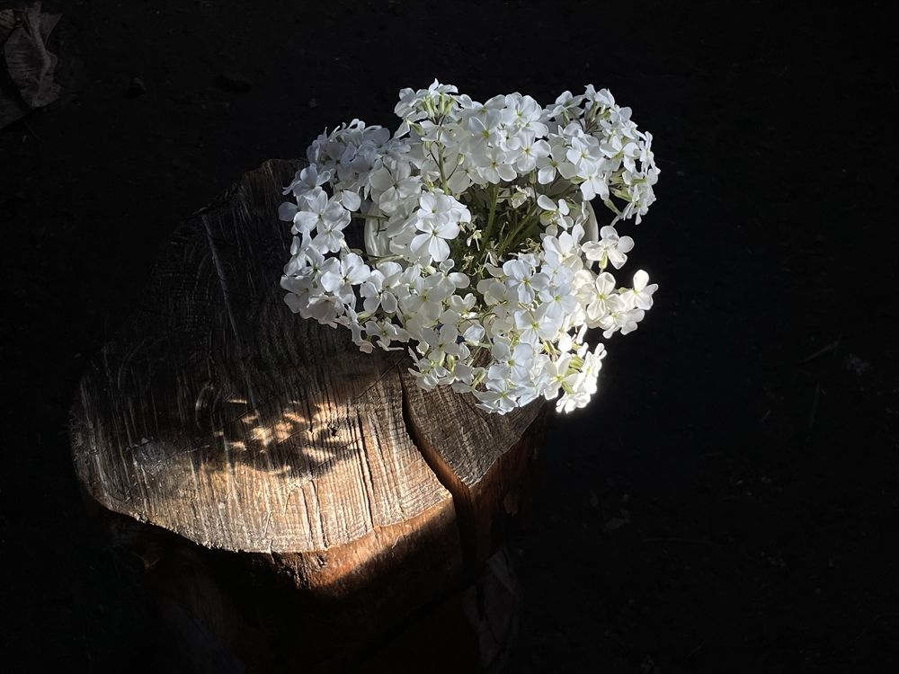 Photograph by Ольга