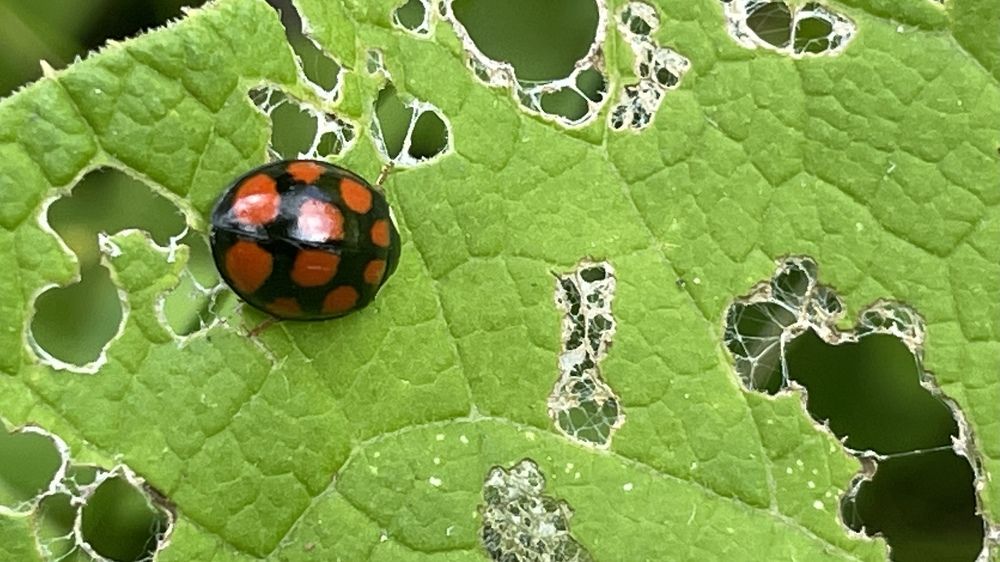 Photograph by Ольга