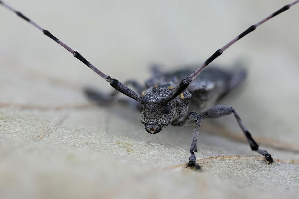 Photograph by Сергей Романченко