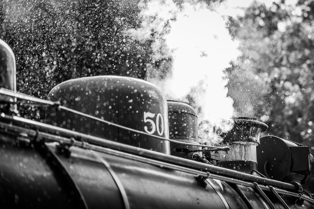 Photograph by Marcia Camargo