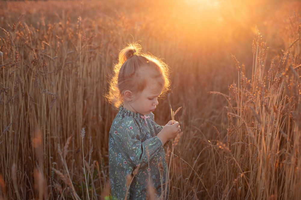 Photograph by Татьяна Продан