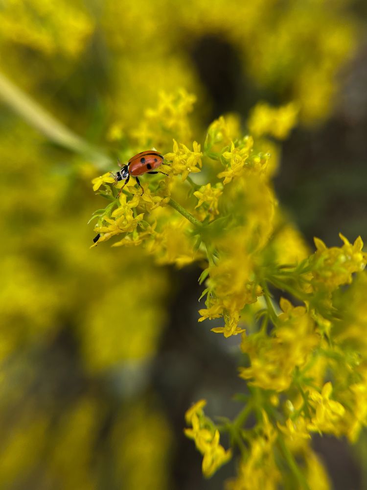Photograph by Асель Бекбосынова